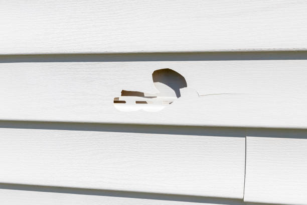 How To Choose The Right Materials for Your Siding Installation in 'Hillsborough, NC